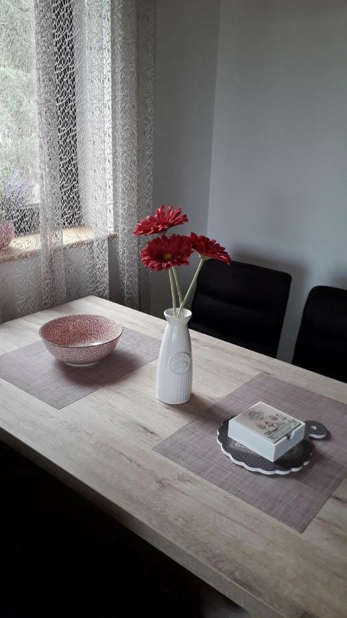 Apartman Nana Svetogorska 19 ,Stan 17 Zlatibor Exterior photo