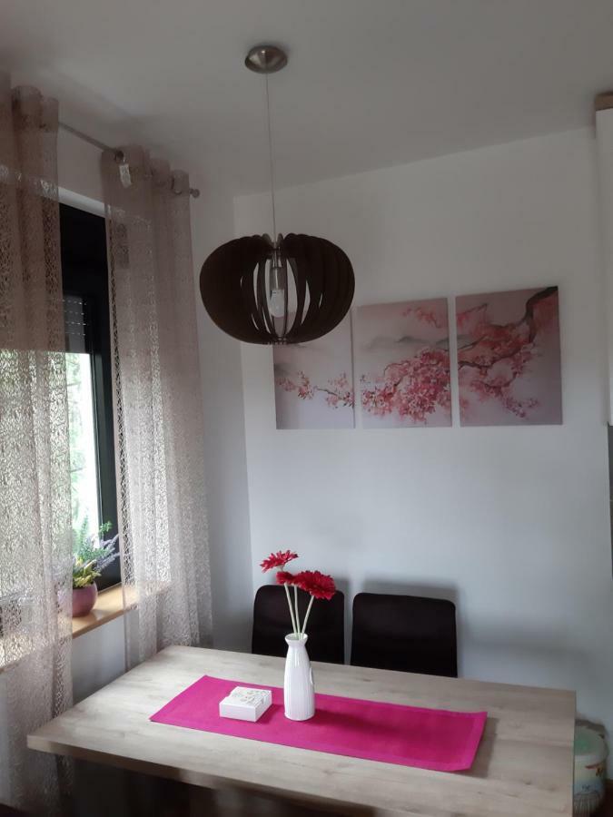 Apartman Nana Svetogorska 19 ,Stan 17 Zlatibor Exterior photo